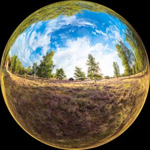 Nemitzer Heide Wendland Niedersachsen